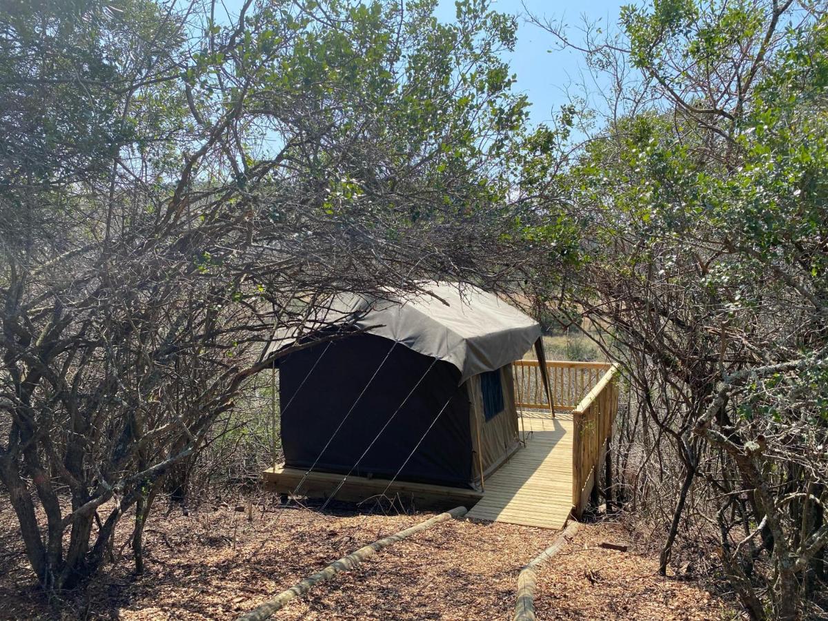 Horseshoe Game Reserve East London Exterior foto