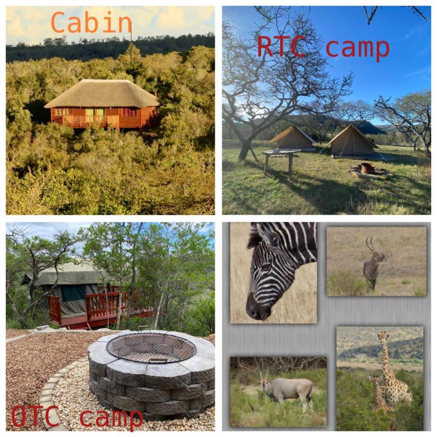 Horseshoe Game Reserve East London Exterior foto