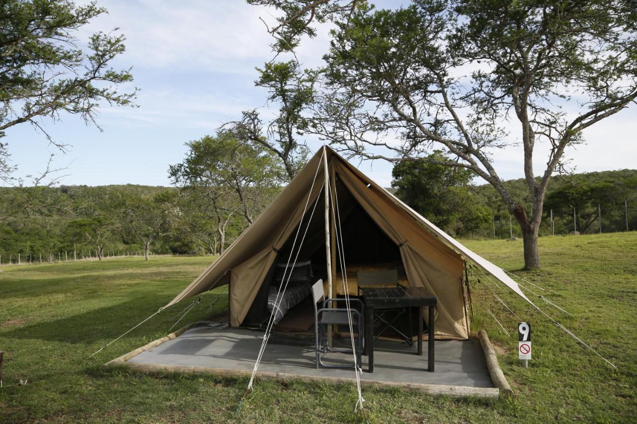Horseshoe Game Reserve East London Exterior foto