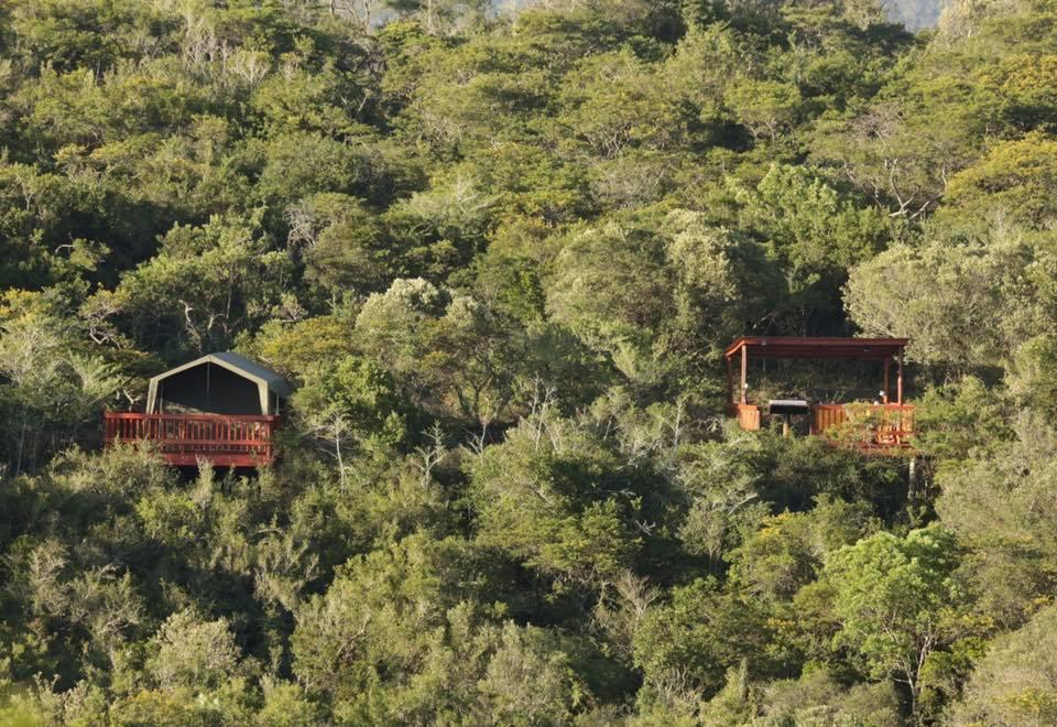 Horseshoe Game Reserve East London Exterior foto